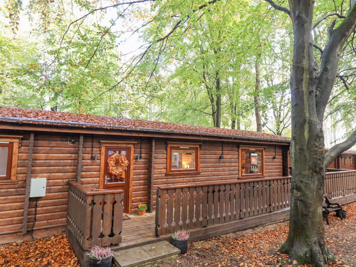 Leafy Hollow Lodge 劳斯 外观 照片